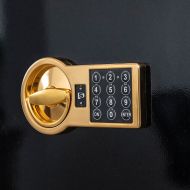 ASG 95 TEL GOLD - ЛУКСОЗЕН СЕЙФ